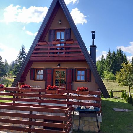 Mountain House Tadic 1 Villa Bajina Basta Kültér fotó