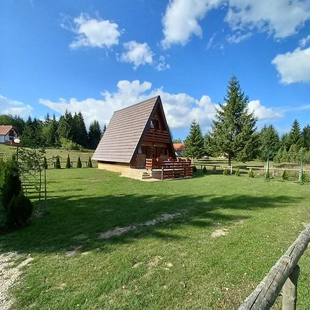 Mountain House Tadic 1 Villa Bajina Basta Kültér fotó