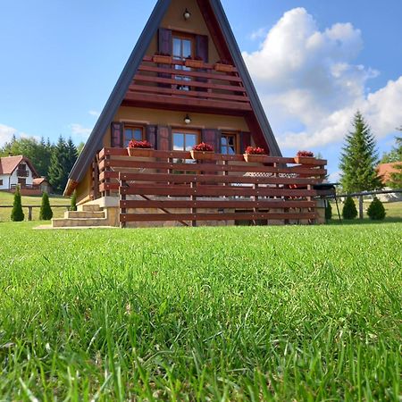 Mountain House Tadic 1 Villa Bajina Basta Kültér fotó