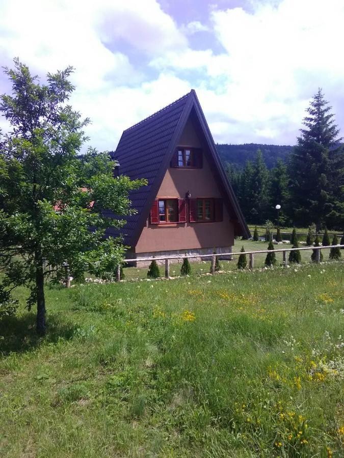 Mountain House Tadic 1 Villa Bajina Basta Kültér fotó
