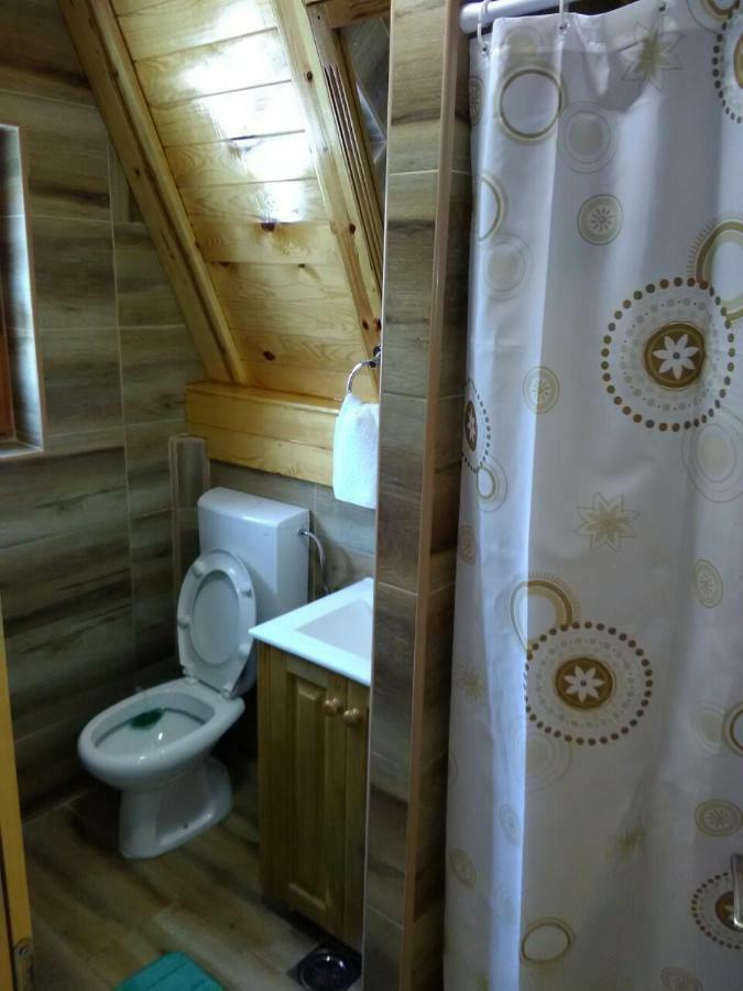 Mountain House Tadic 1 Villa Bajina Basta Kültér fotó