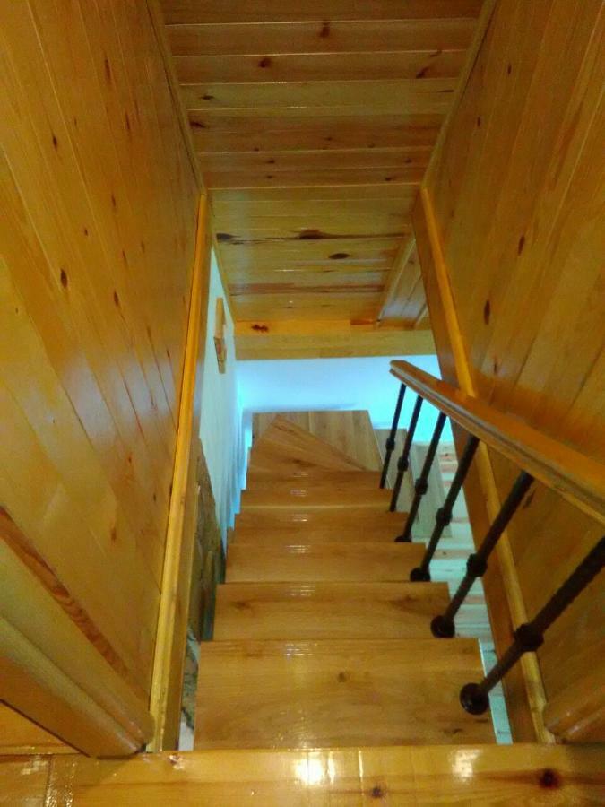 Mountain House Tadic 1 Villa Bajina Basta Kültér fotó