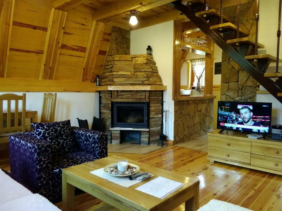 Mountain House Tadic 1 Villa Bajina Basta Kültér fotó