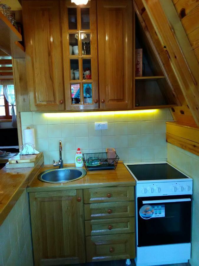 Mountain House Tadic 1 Villa Bajina Basta Kültér fotó