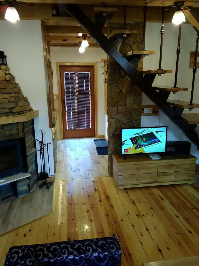 Mountain House Tadic 1 Villa Bajina Basta Kültér fotó