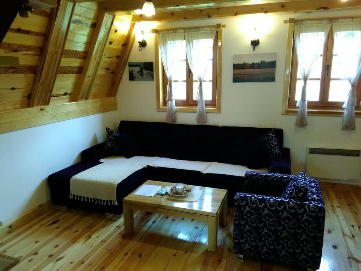 Mountain House Tadic 1 Villa Bajina Basta Kültér fotó