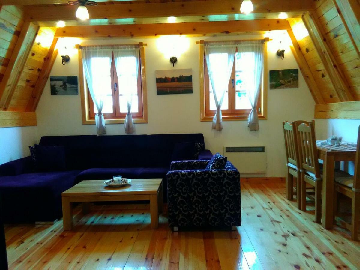 Mountain House Tadic 1 Villa Bajina Basta Kültér fotó