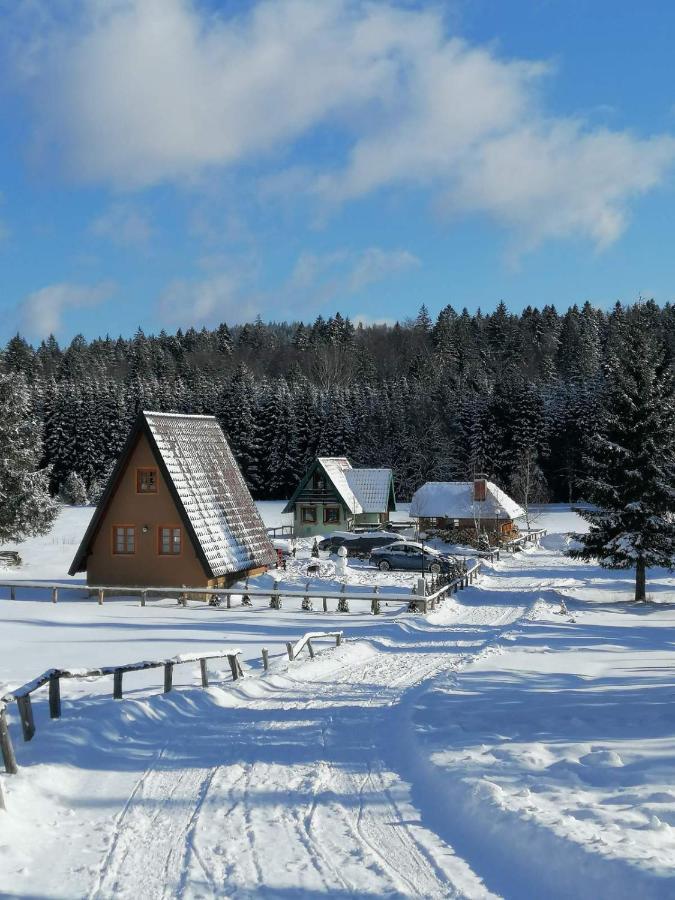 Mountain House Tadic 1 Villa Bajina Basta Kültér fotó