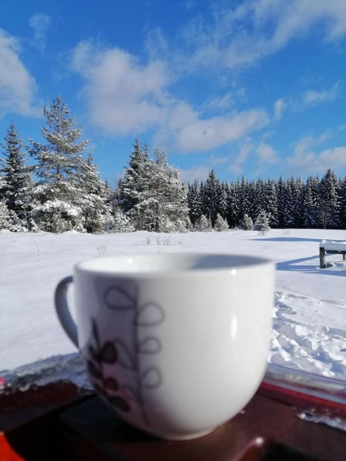 Mountain House Tadic 1 Villa Bajina Basta Kültér fotó