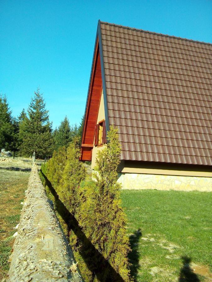 Mountain House Tadic 1 Villa Bajina Basta Kültér fotó